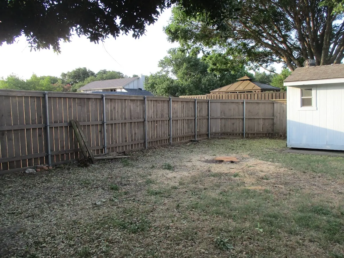 Cleared yard after professional tree removal in Mansfield