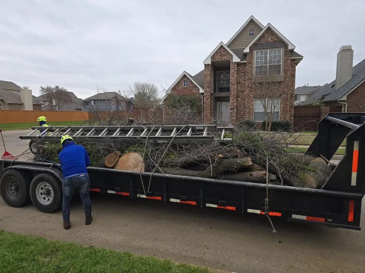 Expert Tree Fertilization with proper safety equipment in Mansfield